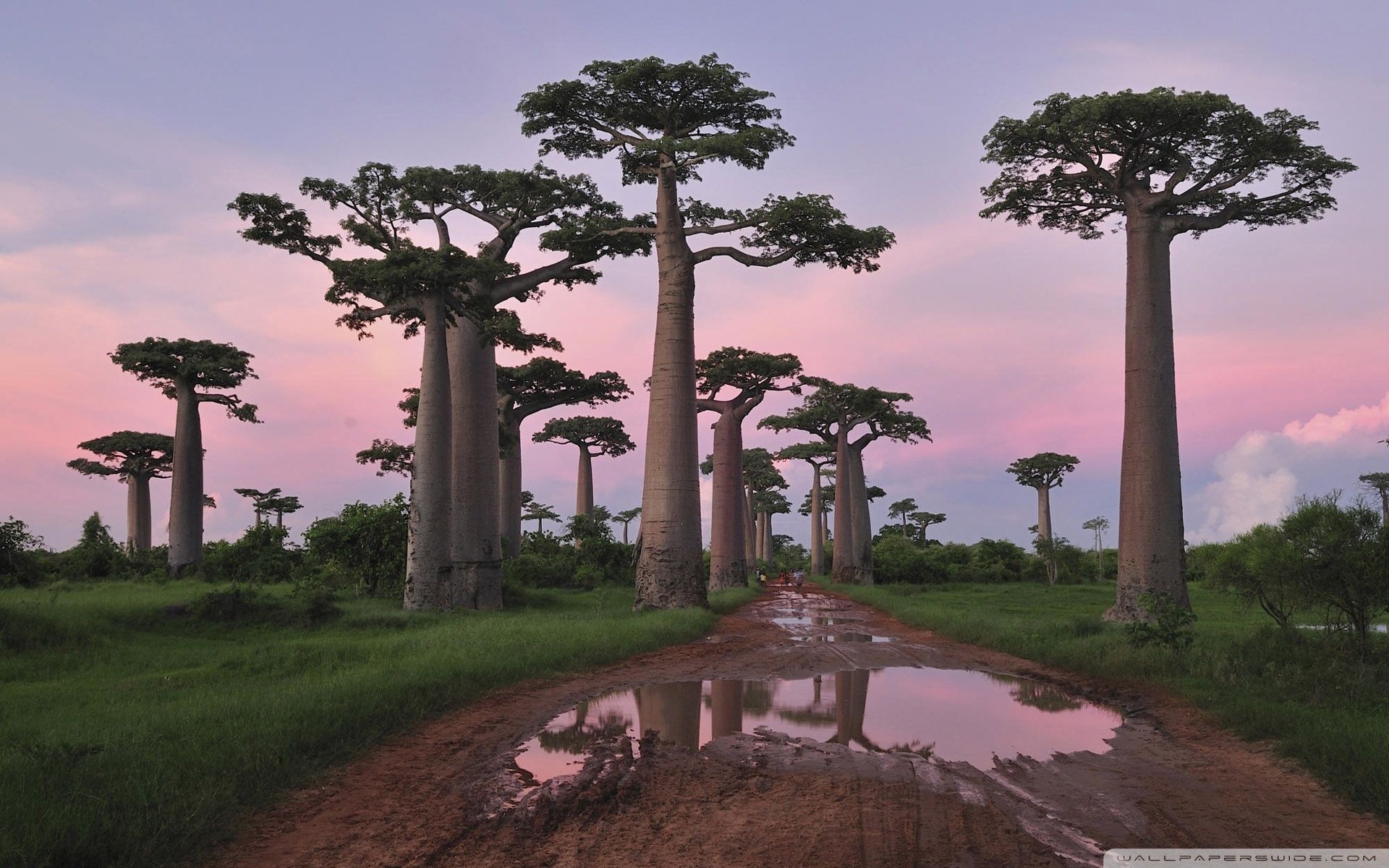 Madagascar in boutique hotel