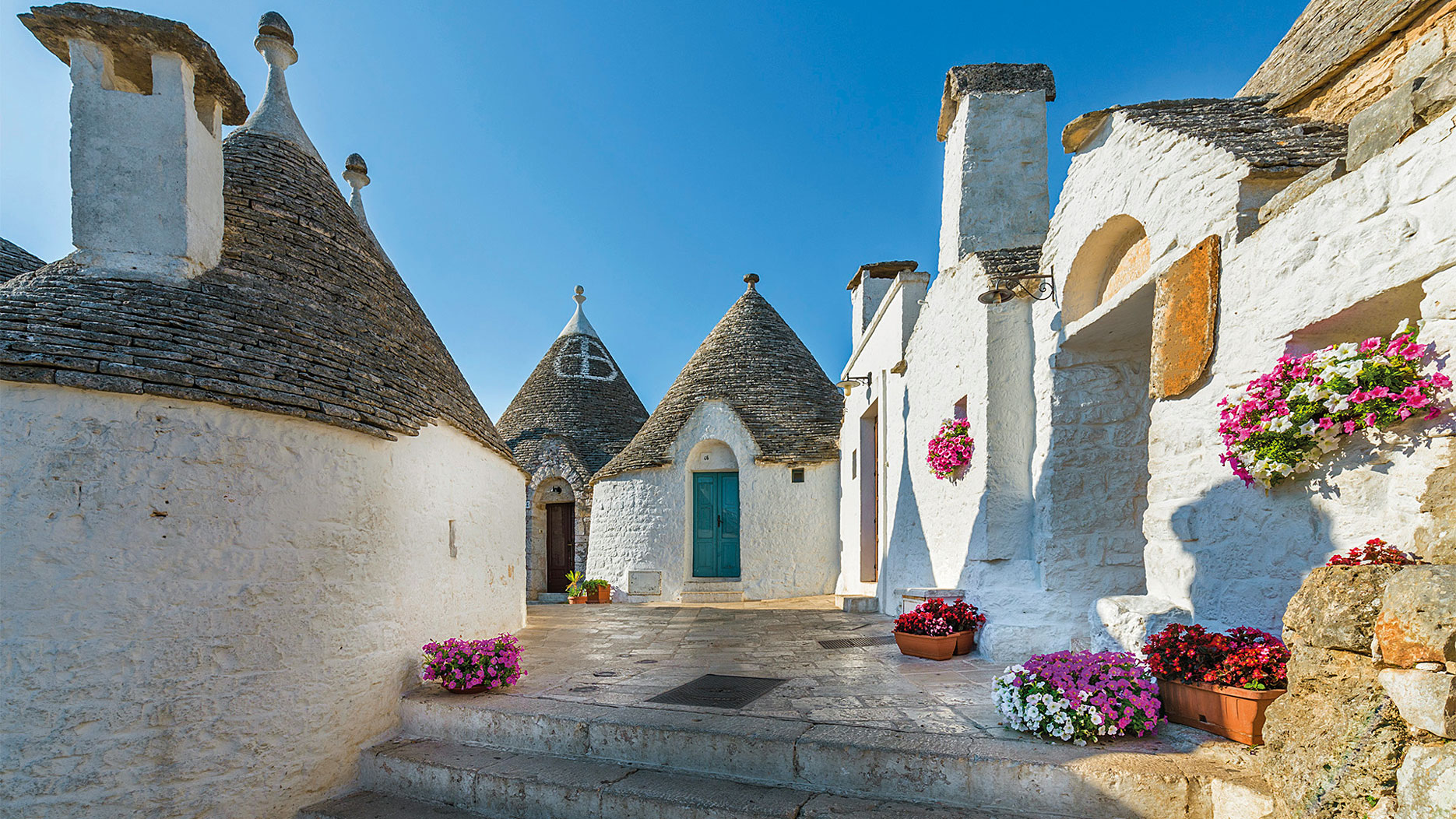 Oleoturismo in Puglia