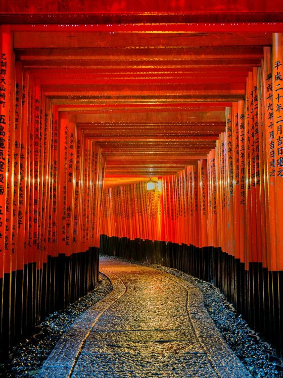 Giappone d’Autore, tra Samurai e modernità