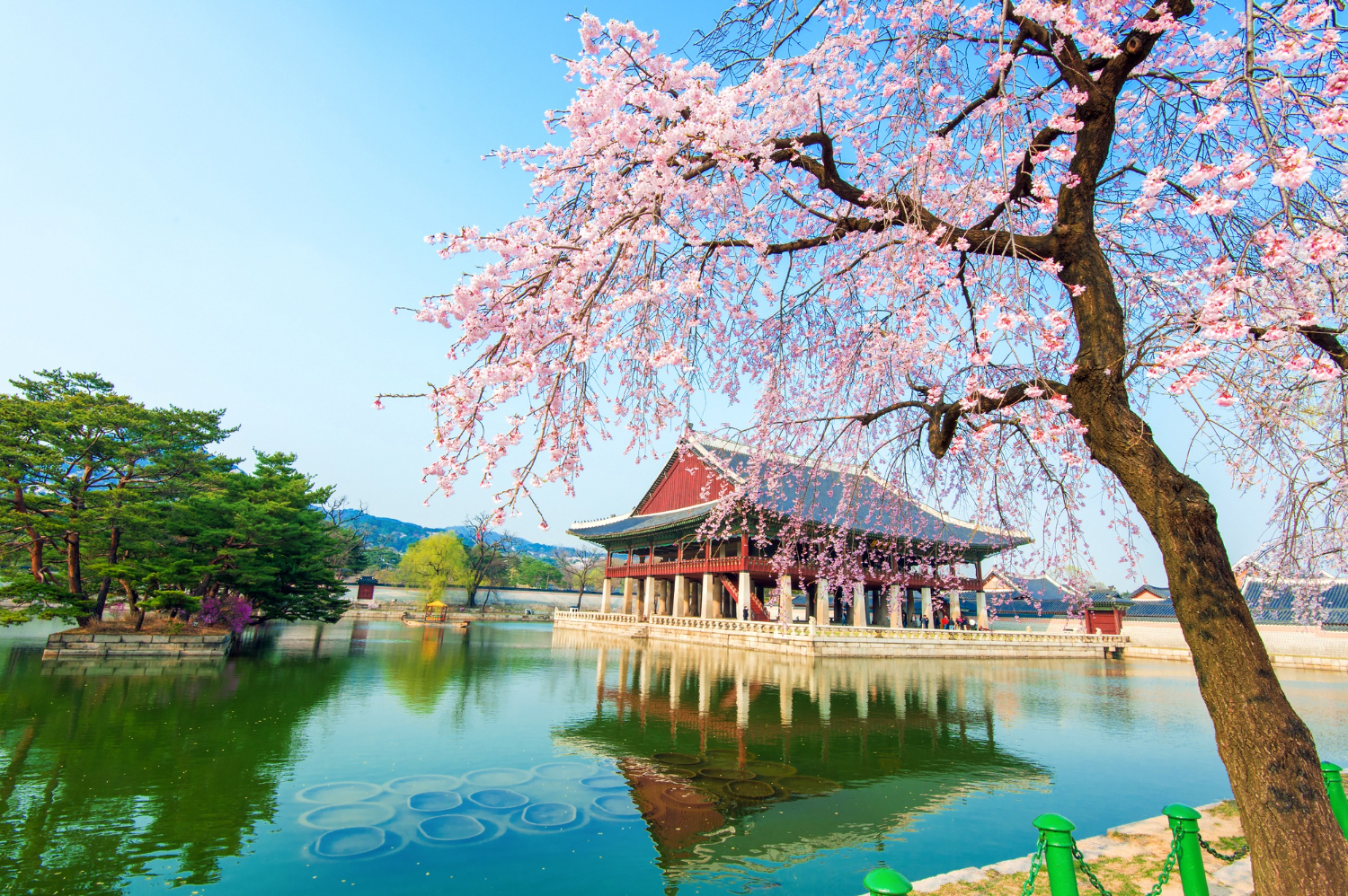 Viaggio di gruppo in Corea